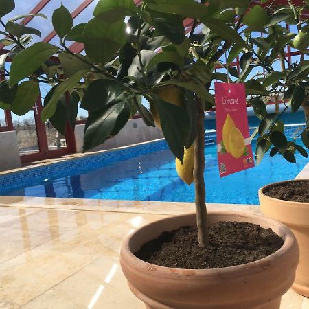 Kastanjegarden Pa Stenshuvud Kivik Εξωτερικό φωτογραφία