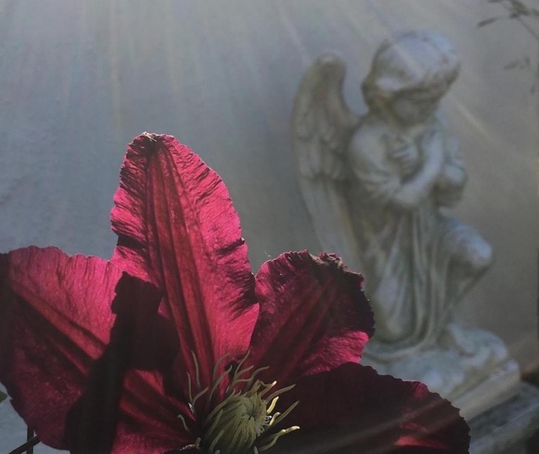 Kastanjegarden Pa Stenshuvud Kivik Εξωτερικό φωτογραφία